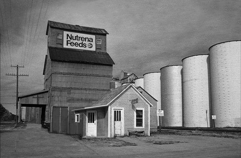 8 by 20 foot signage at the top of one of 20 grain elevators in Kansas and Nebraska painted for Nutrena Feeds